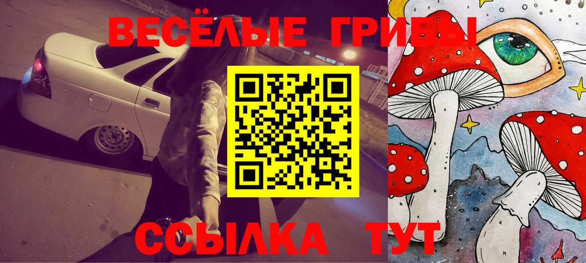Галлюциногенные грибы Psilocybe Красный Сулин