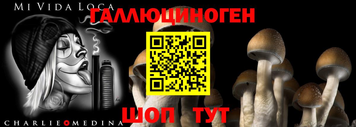 хочу наркоту  Псилоцибиновые грибы прущие грибы  Вход с VPN  Красный Сулин 